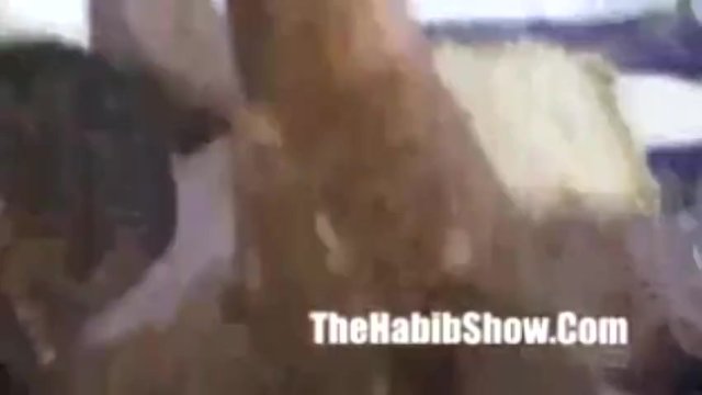 La portentosa cosita hermosa - adelanto de amateur - The Habib Show