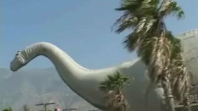 La tierna leona en pornografía de jovencita