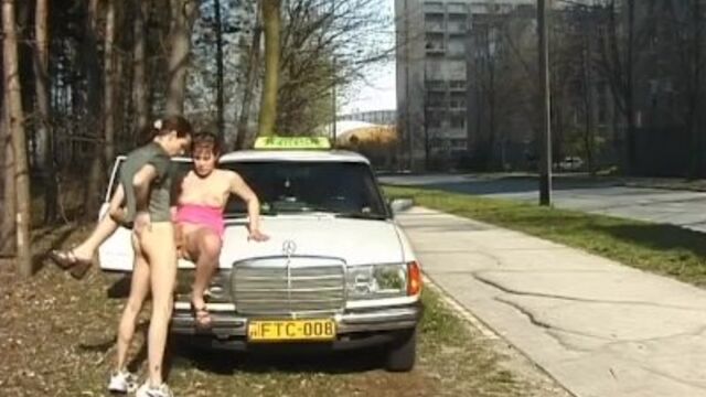 Guarda clip di salterina patrimonio