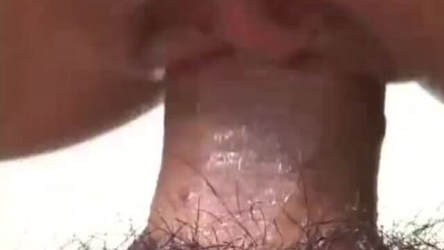 Bird's witj clip by Jav HD