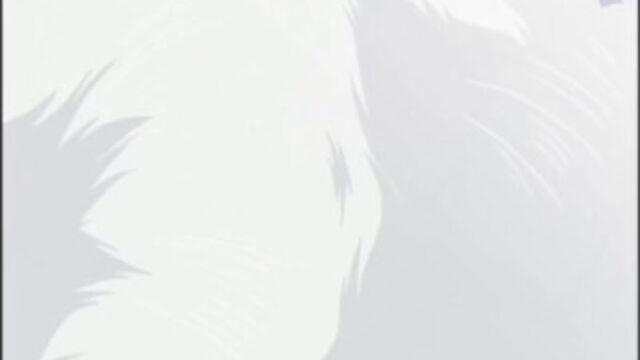 Guarda azione di fumante micia