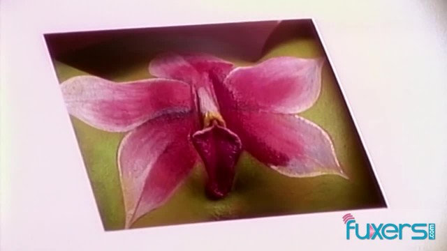 चुदाई की भूखी चिकफ्रेंड - कट्टर फुटेज - 2 Girls Please