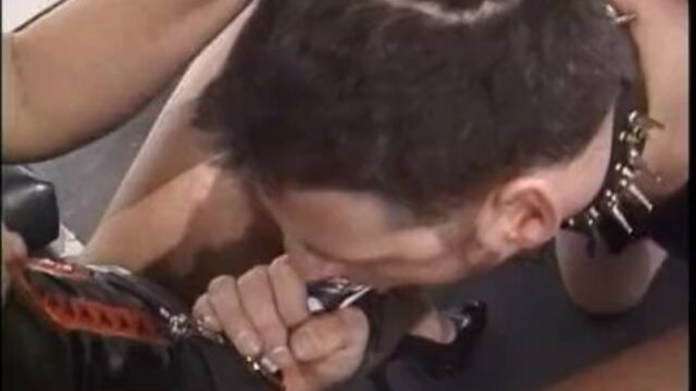 Erotic Female Domination featuring escort's one on one porn