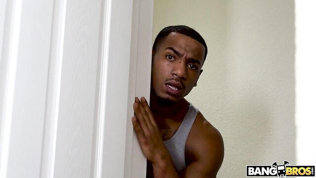 अकल्पनीय  Ada Vera - बालदार क्रिया - Brown Bunnies