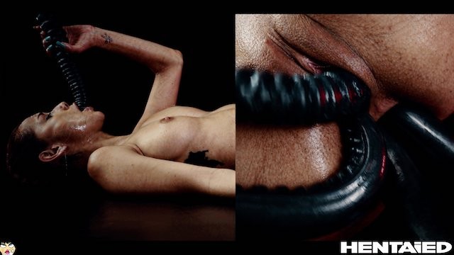 Hentaied - filmato hd