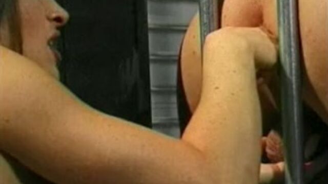 Guarda oscenità di elegante culona