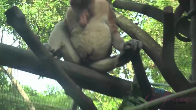 Outdoors xxx with amazing Jamie Marleigh from ATK Girlfriends