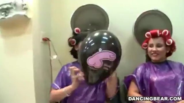 Dancingbear.com action with vicious puss from Dancing Bear