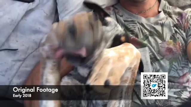 वास्तविकता xxx Verified Amateurs से पक्का SparksGoWild के साथ