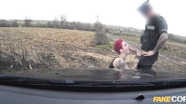 Magnética coelhinha em pernas cumpridas filmagem