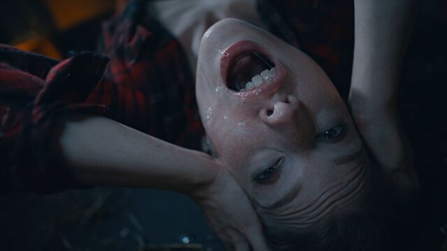 Vidéo brut de la sympathique Octavia 