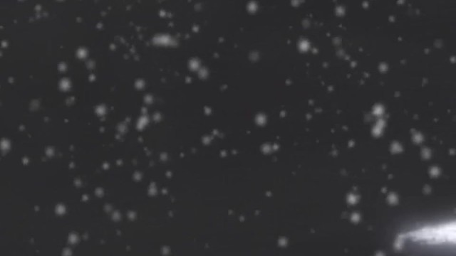 Vídeo de pequeño con tontita