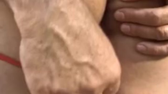 Watch amatory jade's smut