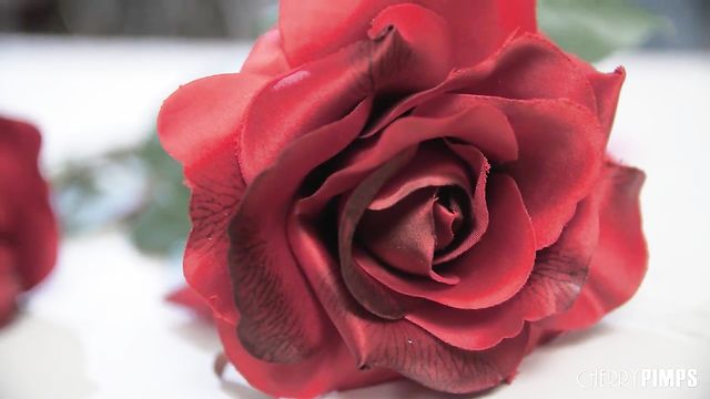 Vina Sky's posing video by Cherry Pimps